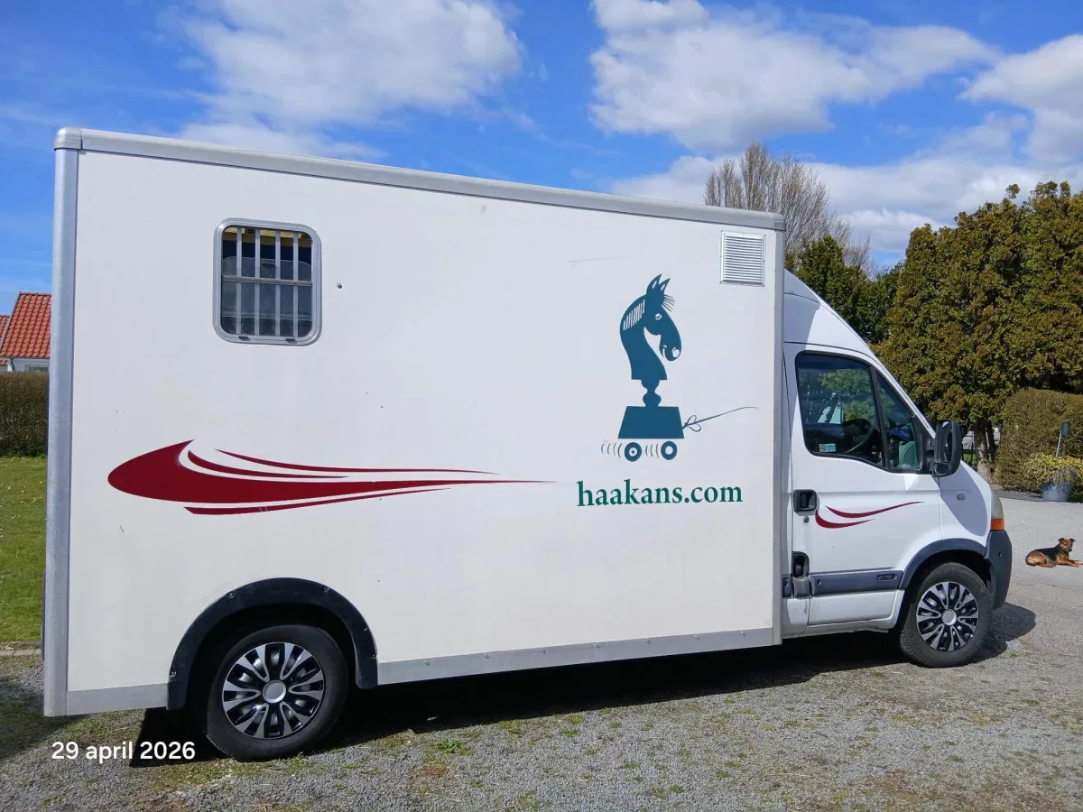 Hästar som tittar ut ur hästtransporten