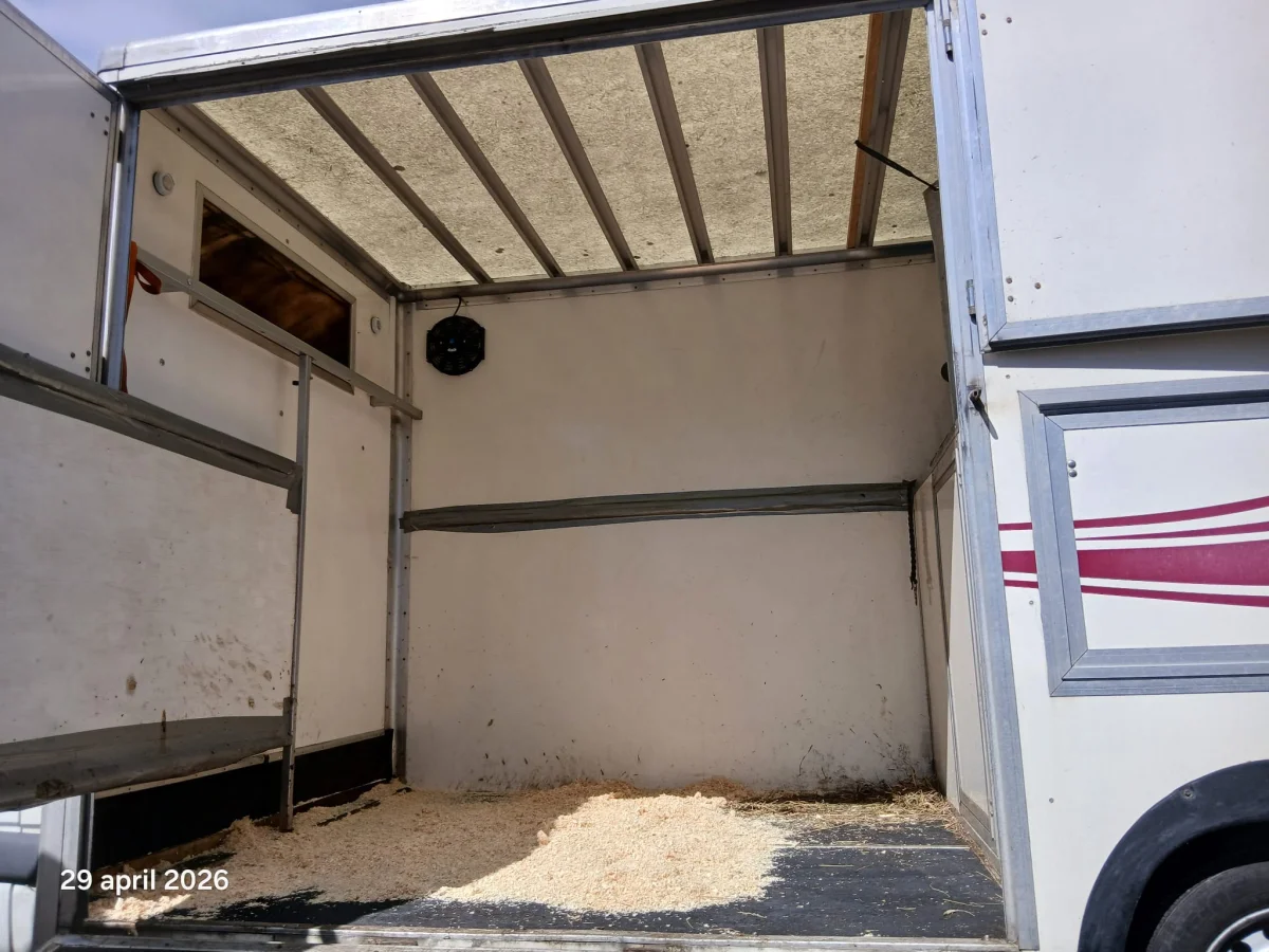 Interior del transporte de caballos con virutas en el suelo
