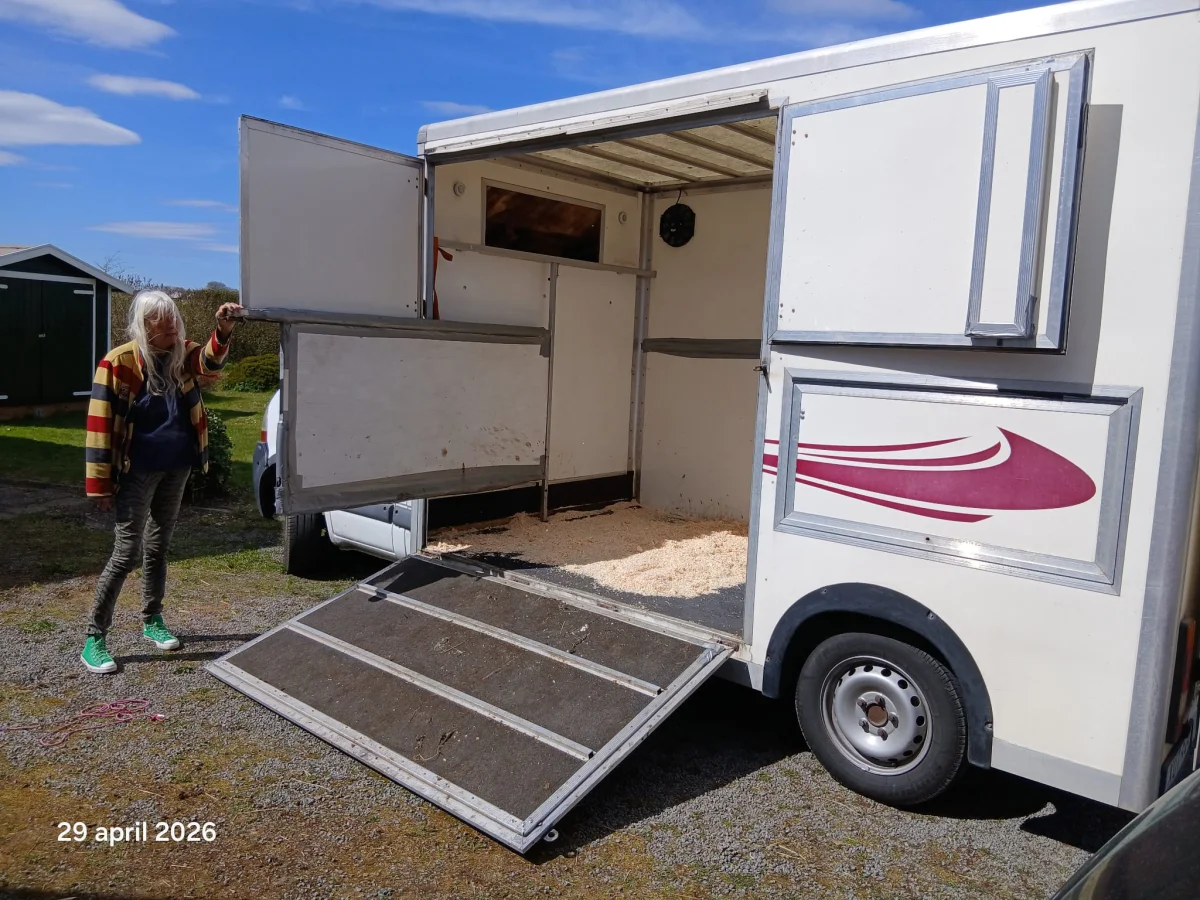 Transporte de caballos con la rampa de carga bajada